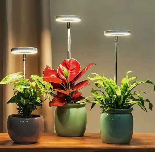 GrowLight Pro | Full Spectrum Växtbelysning