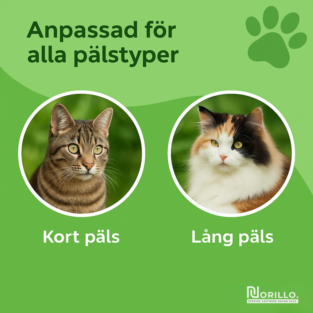 Lunagroom™ – Kattborsten som stoppar fällning och håller hemmet rent