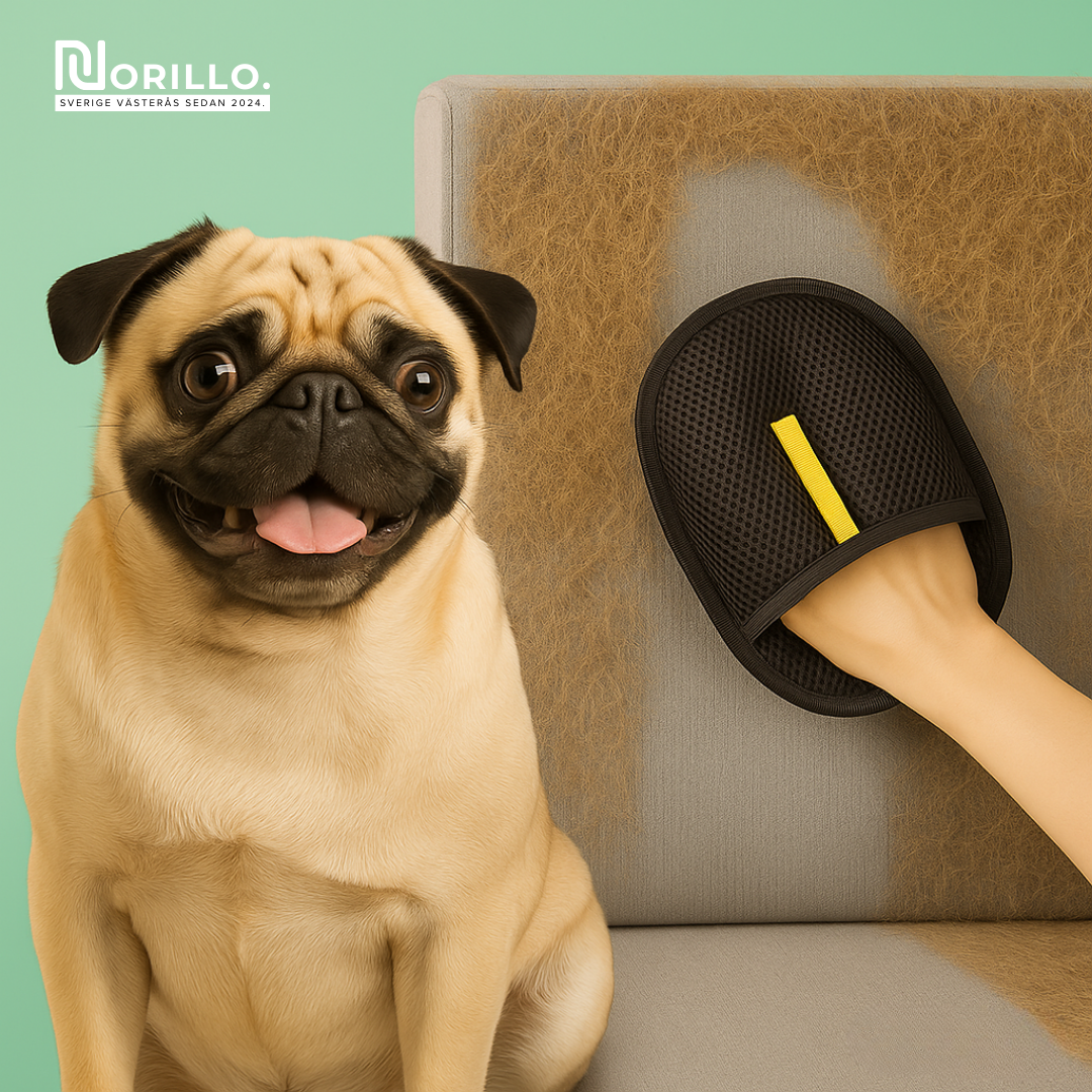 Virelya™ – Hårfångarhandske som eliminerar djurhår på sekunder