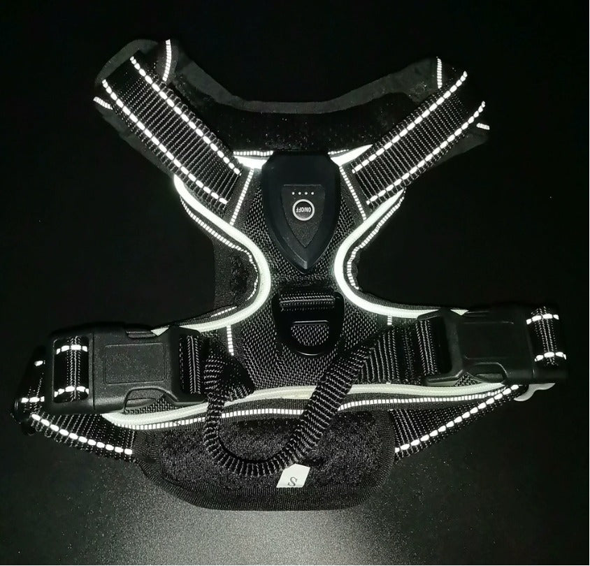 Reflecta™ LED-sele – trygghet, komfort och stil i ett