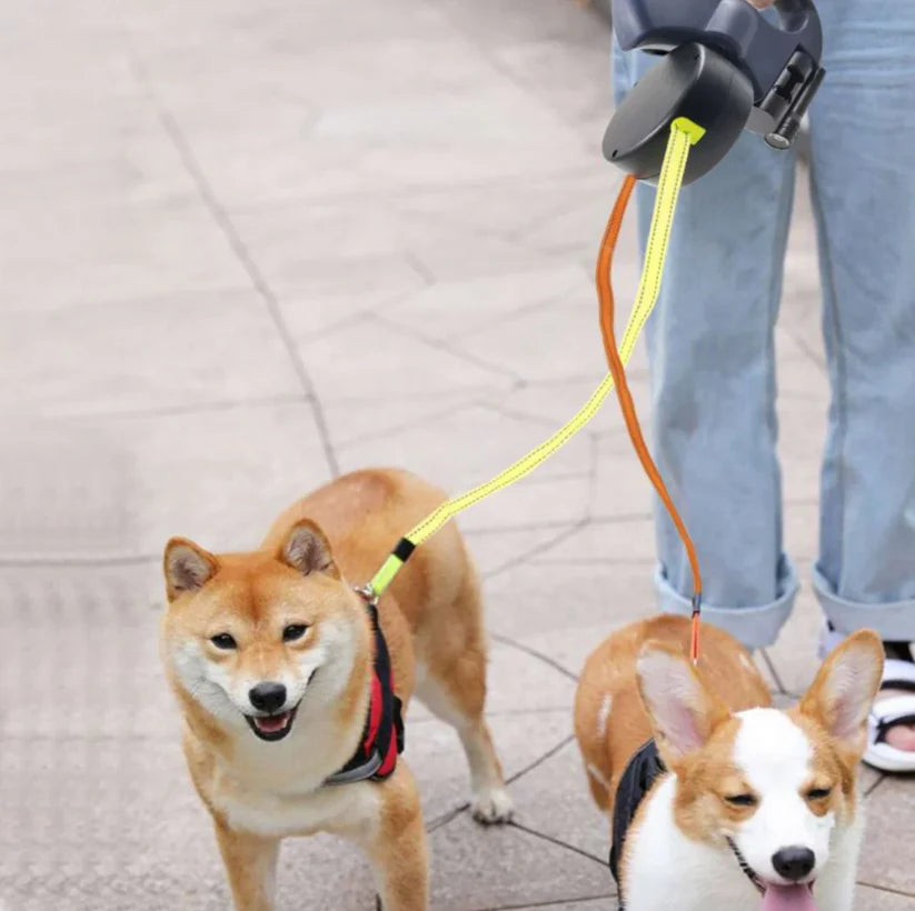 PawPath™ – Det har aldrig varit så enkelt att rasta dina hundar!