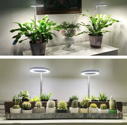 GrowLight Pro | Full Spectrum Växtbelysning