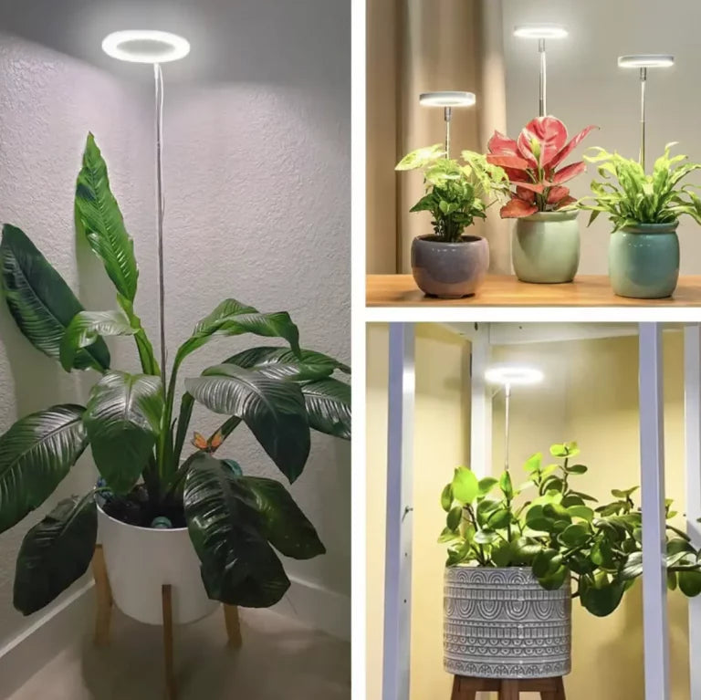 GrowLight Pro | Full Spectrum Växtbelysning