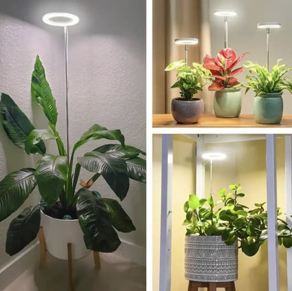 GrowLight Pro | Full Spectrum Växtbelysning