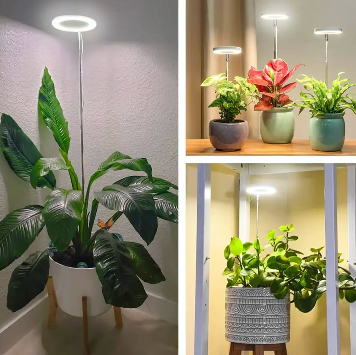 GrowLight Pro | Full Spectrum Växtbelysning