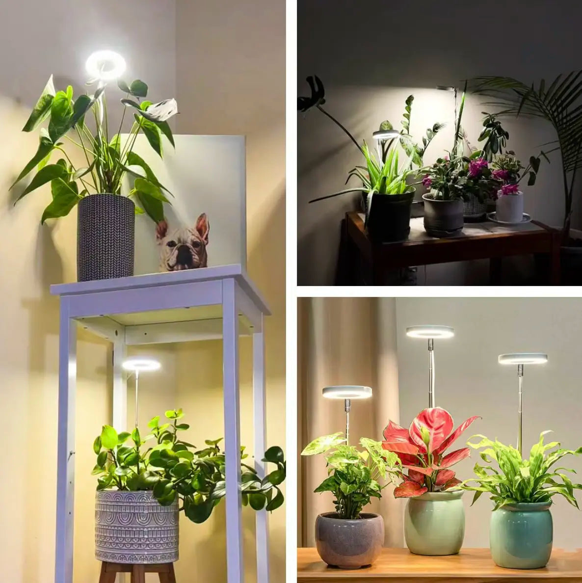 GrowLight Pro | Full Spectrum Växtbelysning